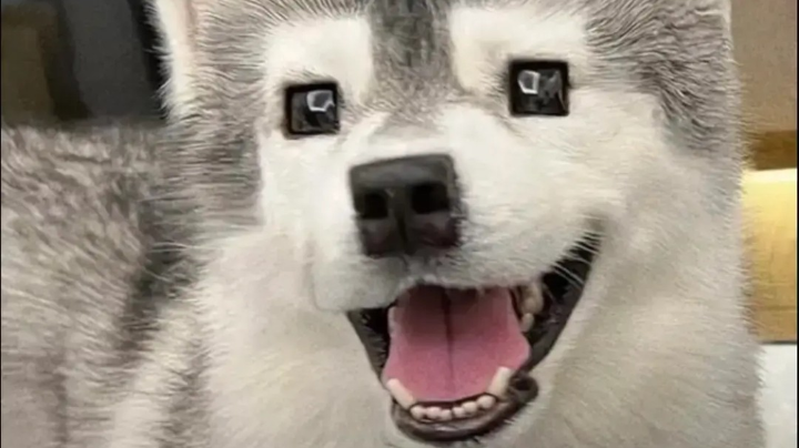 新巨人城