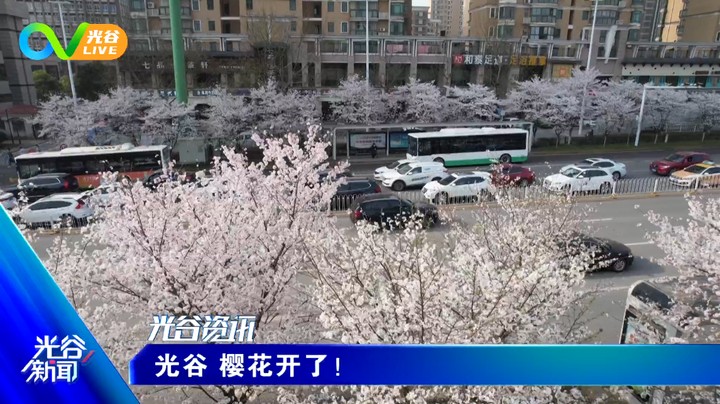 20220318光谷新闻周五版