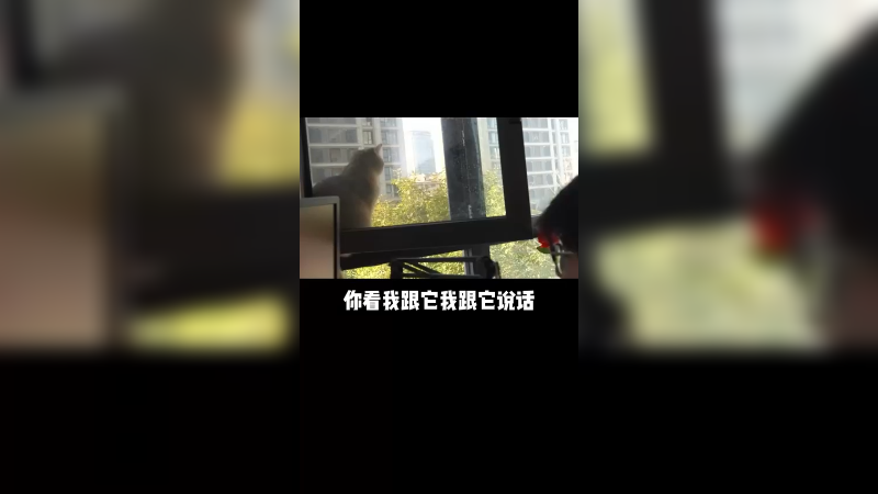 不给面子可还行