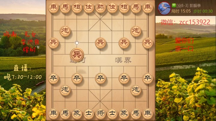 过宫狗，弃炮快速攻杀