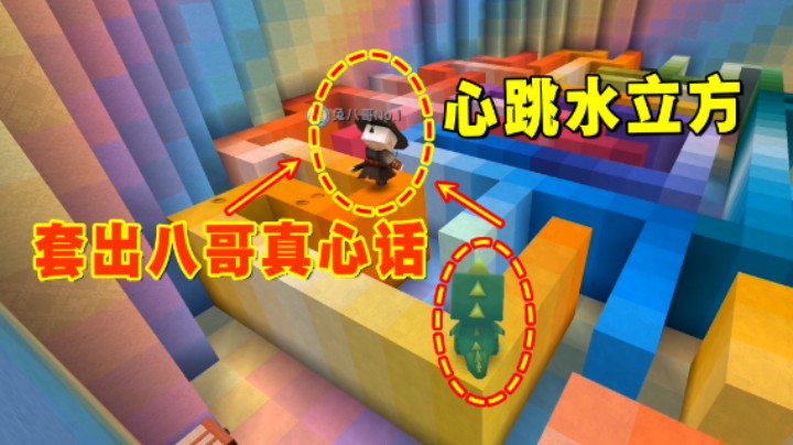 迷你世界：心跳水立方比赛！小墨大秀跳水本领，套出八哥真心话
