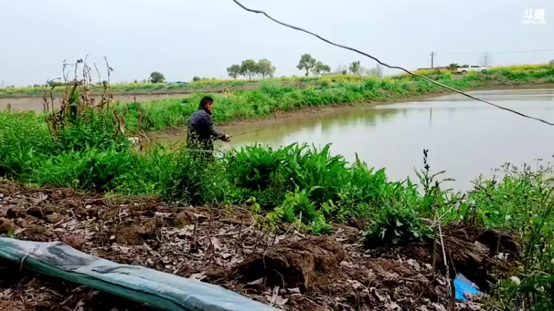 【2022-03-19 12点场】洪湖小肖：一个666卡牌子 钻石双倍卡337852