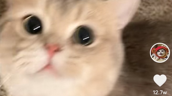 555