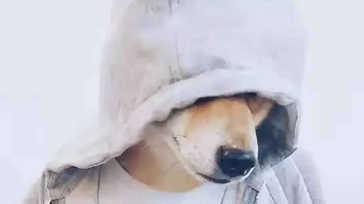 无聊不快乐
