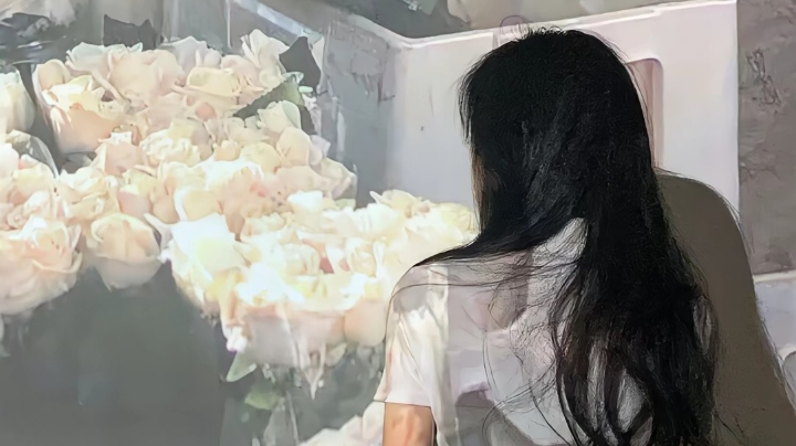 新人主播求关注