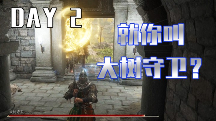 【白胖】第二天（上）熬过今天我就出新手村了！《艾尔登法环》
