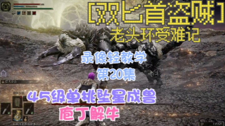 《艾尔登法环》双匕首真·盗贼受苦记，第20集-45级单挑坠星成兽，庖丁解牛。