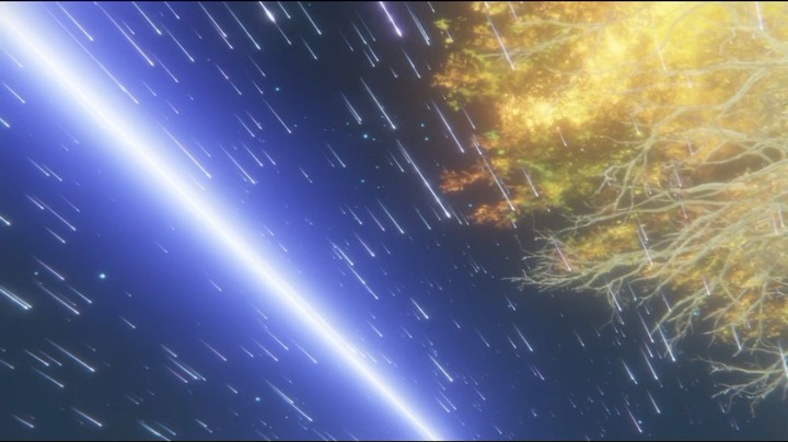 艾尔登法环盗贼碎星作业