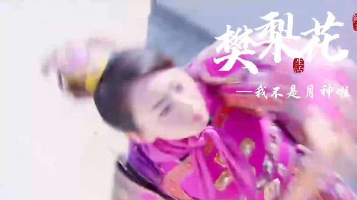三国志元宇宙水友群像