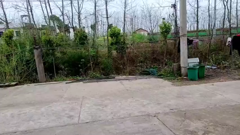 【2022-03-19 10点场】洪湖小肖：一个666卡牌子 钻石双倍卡337852