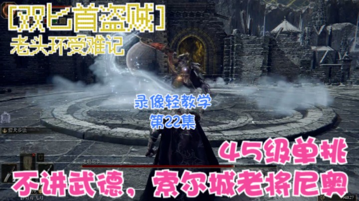 《艾尔登法环》双匕首真·盗贼受苦记，第22集-45级单挑索尔城老将尼奥，不讲武德