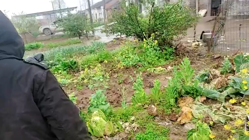 【2022-03-20 13点场】洪湖小肖：一个666卡牌子 钻石双倍卡337852