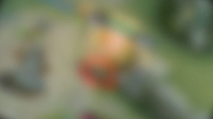 王者荣耀击杀集锦6