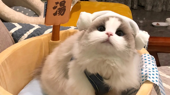 糊了糊了
