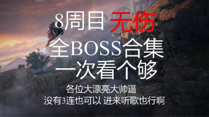 8周目全BOSS击杀精简版 一次看个够