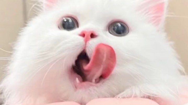 。