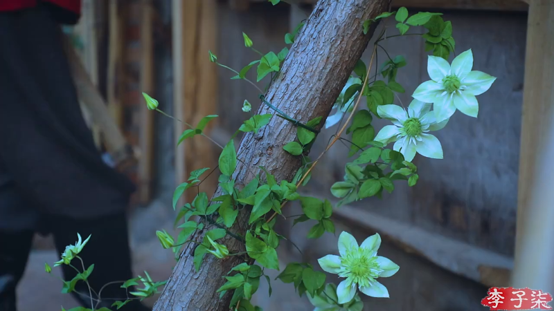 我在斗鱼看李子柒liziqi直播美食