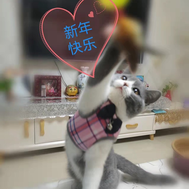 zT乖乖女发布了一个斗鱼视频2022-03-21