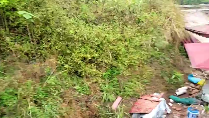 【2022-03-21 11点场】逐梦兄弟：十一点不见不散