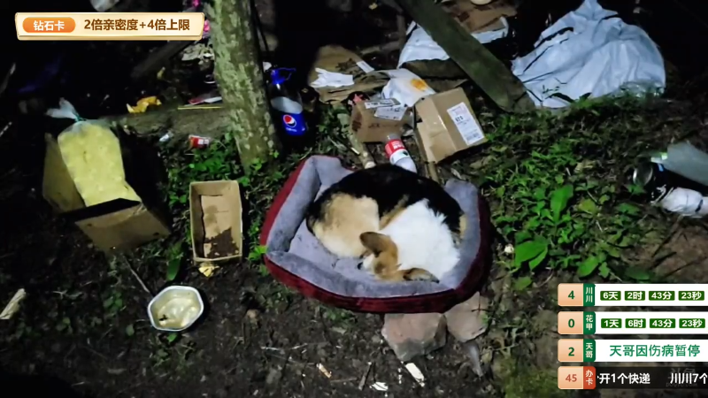 【户外】川味箩卜的精彩时刻 20220321 00点场