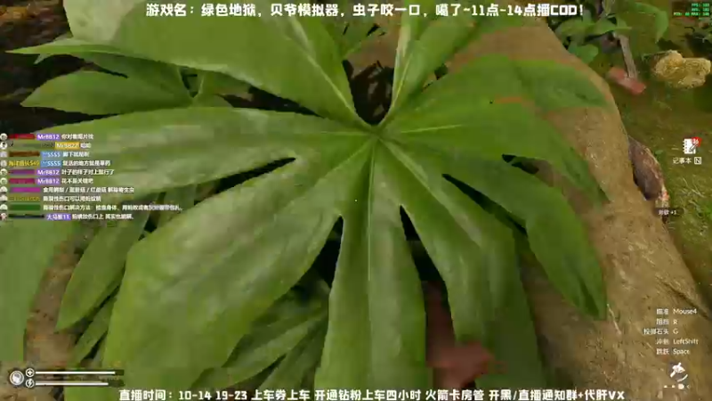 【2022-03-21 15点场】MrBB大波：今天11-14 COD！