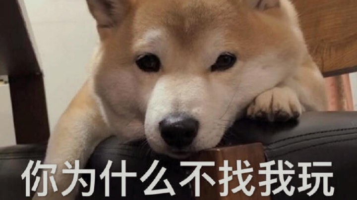 我和我的冤种队友