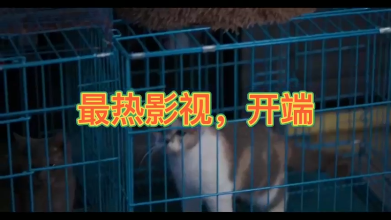 最热影视，开端