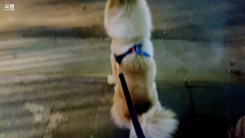 【户外】XX是个坏女人的精彩时刻 20220322 20点场