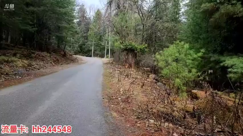 【2022-03-21 12点场】叶子户外：《纪实直播》昌都到南迦巴瓦→桃花day6