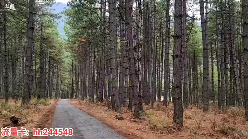 【2022-03-21 14点场】叶子户外：《纪实直播》昌都到南迦巴瓦→桃花day6