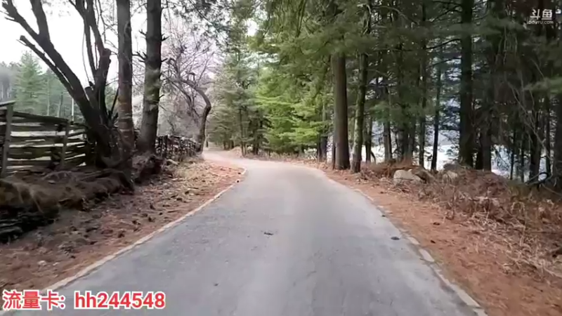 【2022-03-20 19点场】叶子户外：《纪实直播》昌都到南迦巴瓦→然乌day5