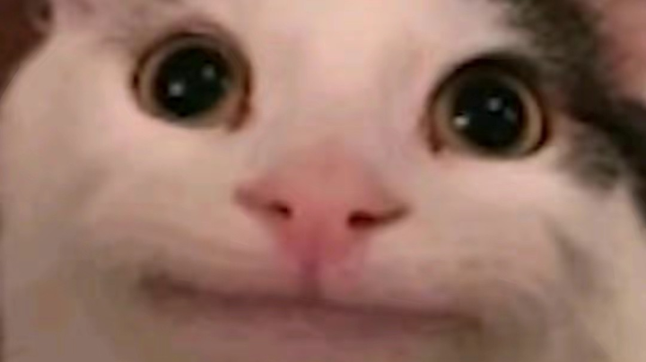 三只小鸡