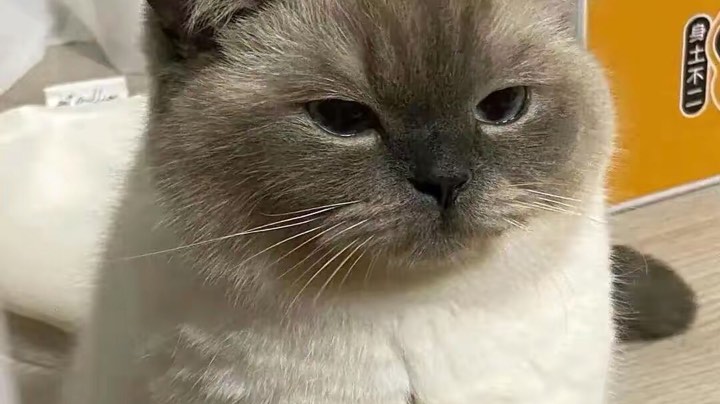 重播