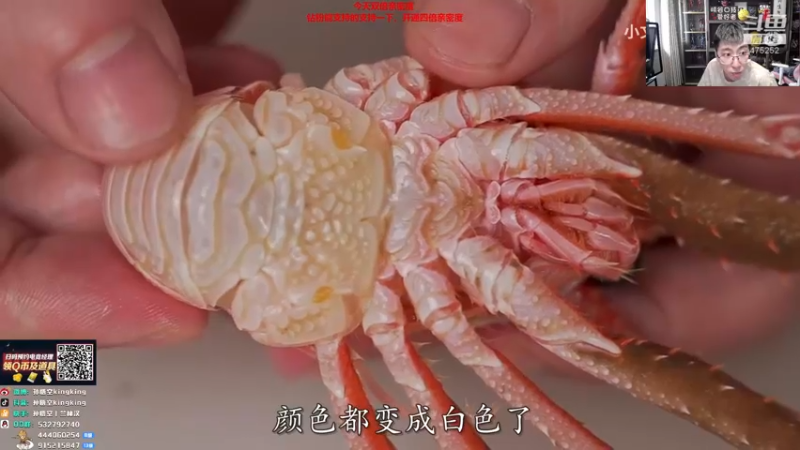 【2022-03-23 14点场】孙悟空丨兰林汉：孙悟空：双倍亲密度，我无敌了
