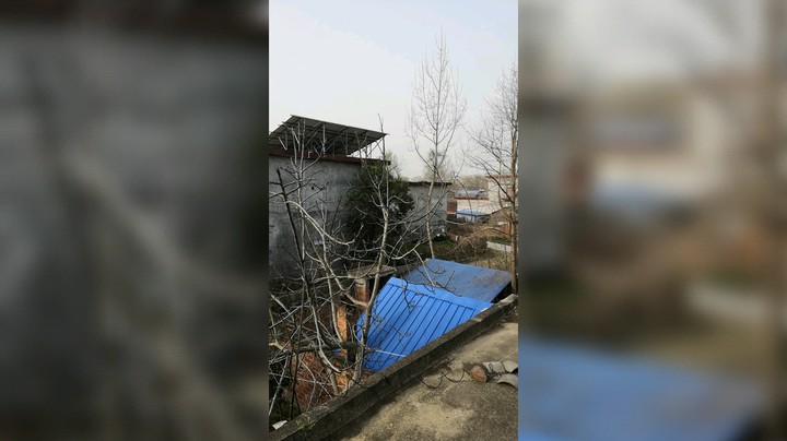农村生活，今天是个好天气