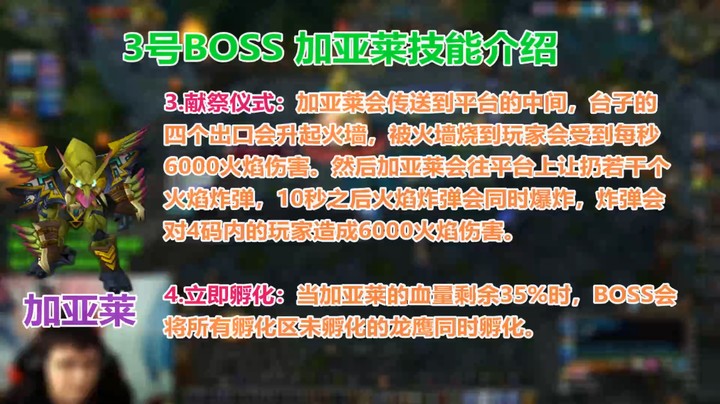 祖阿曼详细攻略【中】【ZAM含小怪 冲熊细节路线】魔兽世界怀旧服