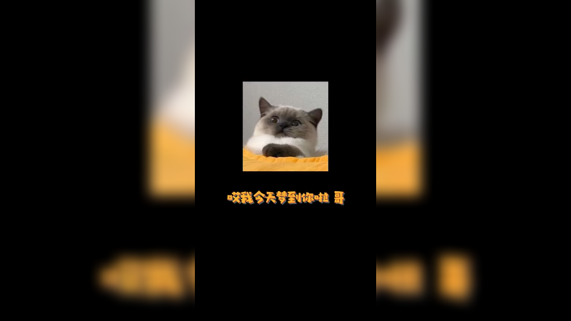 那是因为我心里有你们