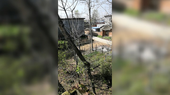 一世长安288发布了一个斗鱼视频2022-03-23