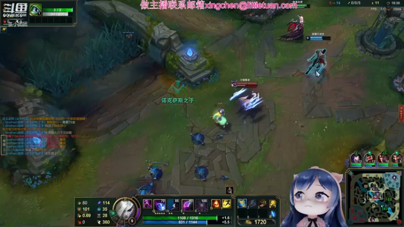 【2022-03-24 00点场】一条小团团OvO：今天有点事，6点播～