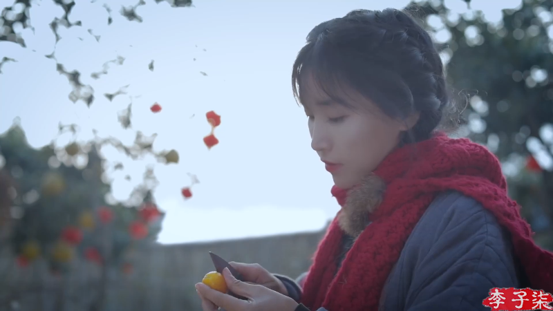 【美食】李子柒liziqi的精彩时刻 20220324 07点场