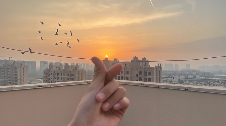 好好学习，天天向上