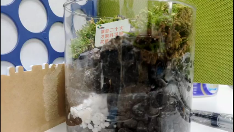【2022-03-24 11点场】青春湖北：武汉工程大学