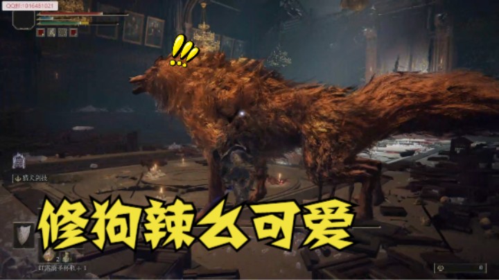 狗狗辣么可爱 咬人可太疼了