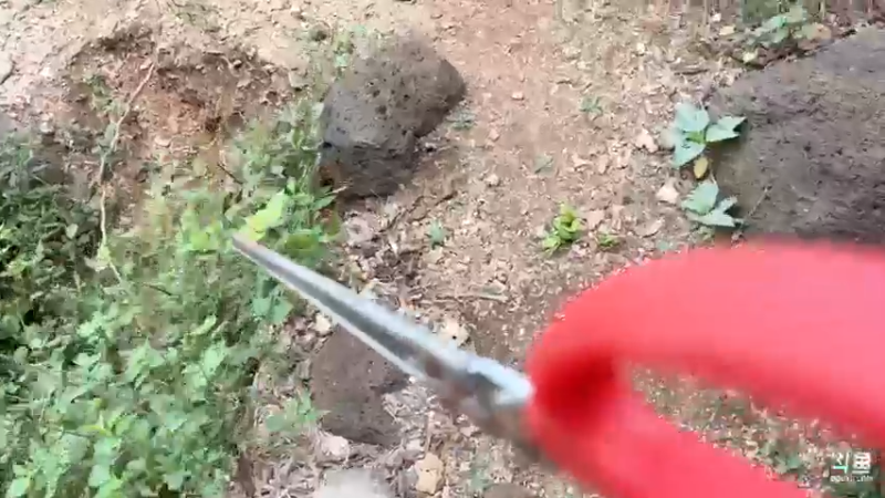 【2022-03-25 10点场】主播阿郎：环海南岛骑行day15