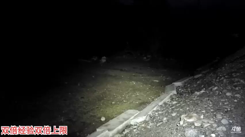 【2022-03-23 20点场】叶子户外：《纪实直播》昌都到南迦巴瓦→桃花day8