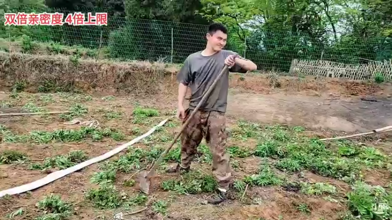 【2022-03-25 14点场】川味箩卜：双倍亲密度，四倍上限