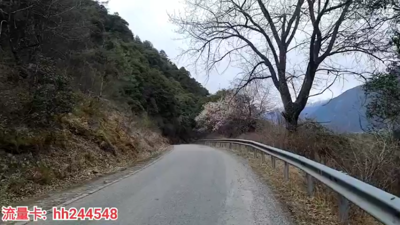 【2022-03-22 16点场】叶子户外：《纪实直播》昌都到南迦巴瓦→桃花day7