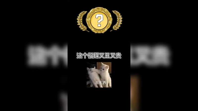 【csgo开箱】突围出了这个福蝶，真的是又贵又难看