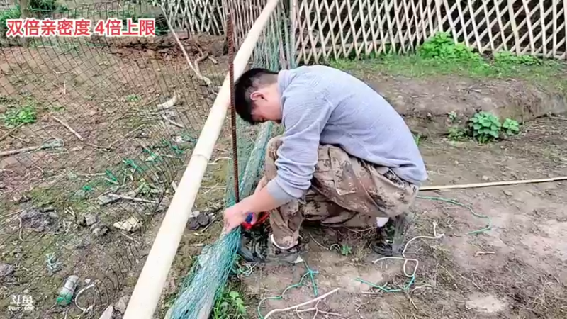 【2022-03-25 12点场】川味箩卜：双倍亲密度，四倍上限