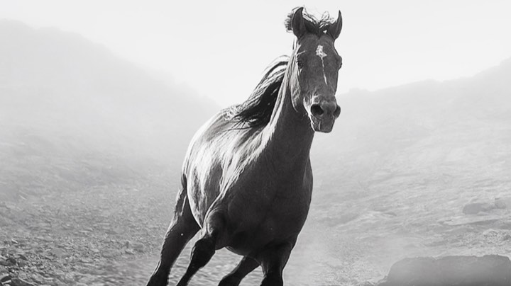 我用双手成就队友的梦想